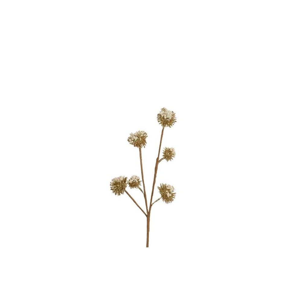 ALLIUM RAMO X 6 BIANCO ORO H.30